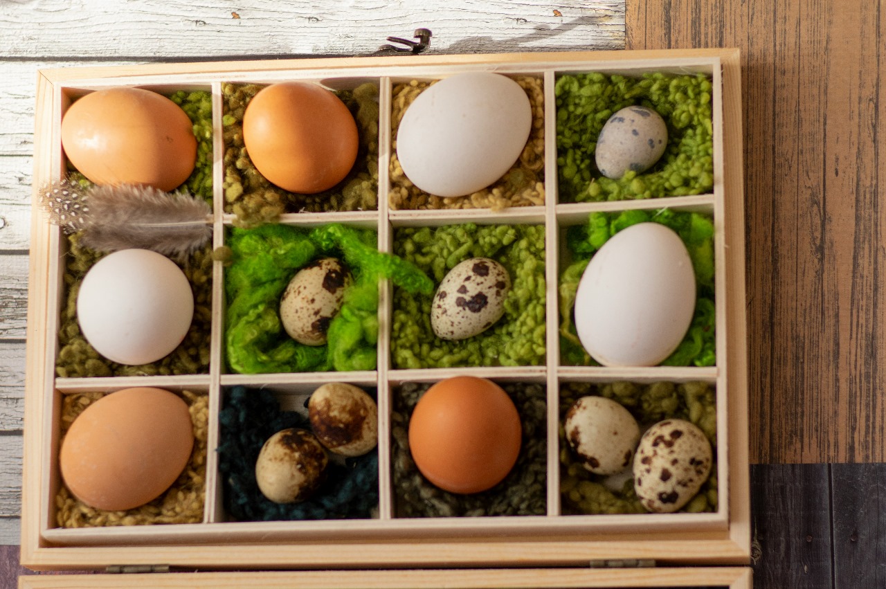 WhatsApp Image 2025-05-30 at 11.10.13 AM