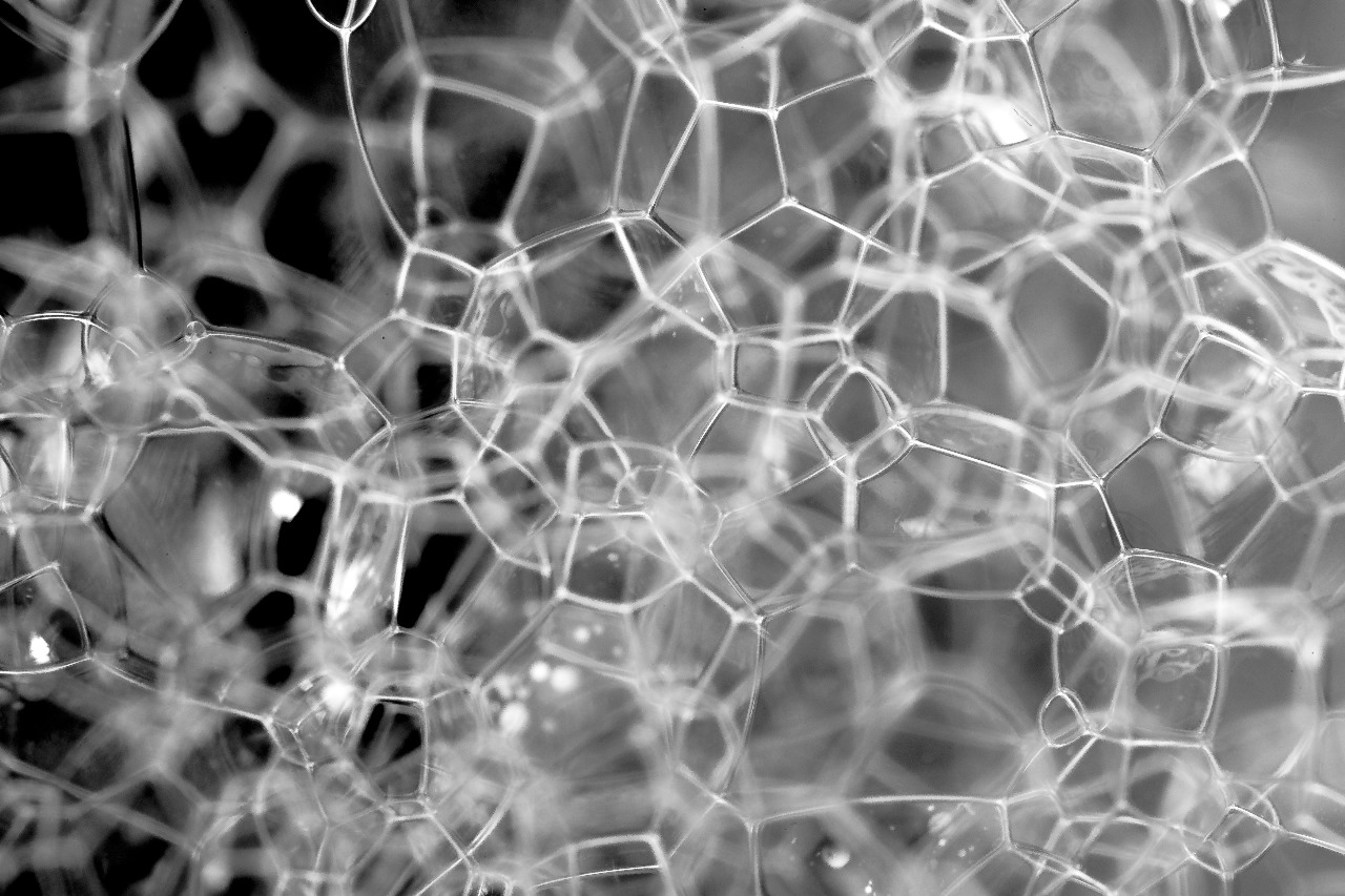 WhatsApp Image 2025-05-30 at 11.11.23 AM (2)